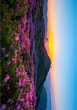 박석배님의 2025년 새해 일출 보셨나요? · 참여글 작성글 사진