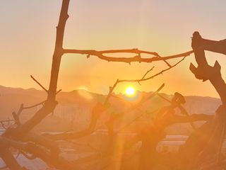 류호연님의 2025년 새해 일출 보셨나요? · 참여글 작성글 사진