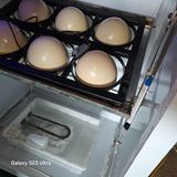 팜모닝 자유주제·자유게시판 게시글 이미지