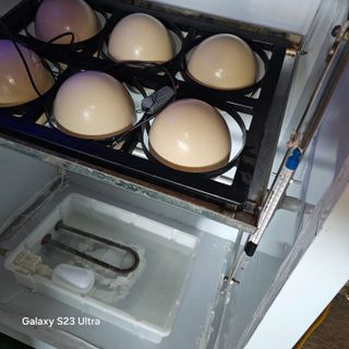 박용열조물주님 님의 자유주제 · 자유게시판 작성글 사진