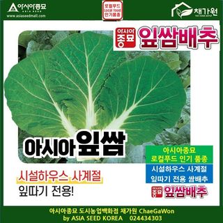 아시아종묘님의 자유주제 · 자유게시판 작성글 사진