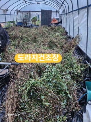 송명석님의 자유주제 · 자유게시판 작성글 사진