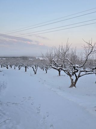 산들농원님의 자유주제 · 자유게시판 작성글 사진
