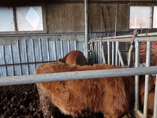 알 수 없음님의 자유주제 · 자유게시판 작성글 사진