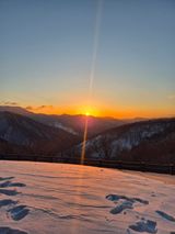 팜모닝 2025년 새해 일출 보셨나요?·참여글 게시글 이미지