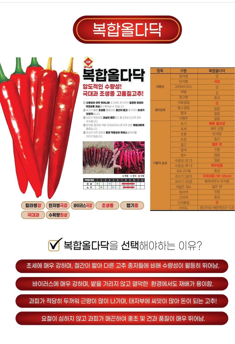 대산농사대장님의 장터 판매 상품 [복합올다닥 복합내병계 조생 극대과] 첨부 사진