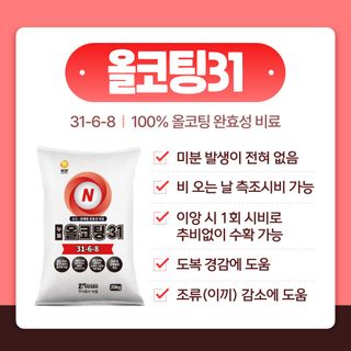 누보농장님의 자유주제 · 자유게시판 작성글 사진