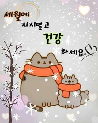 SOUL님의 자유주제 · 자유게시판 작성글 사진