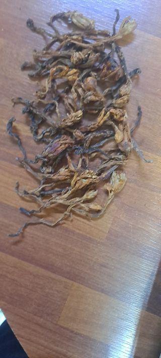 백순분님의 작성글 사진