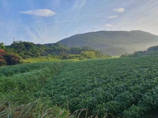 콩사랑님의 작성글 사진