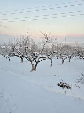 산들농원님의 자유주제 · 자유게시판 작성글 사진