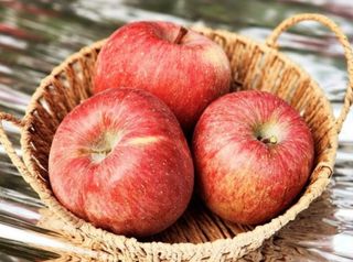 사과청일농원🍎님의 작성글 사진