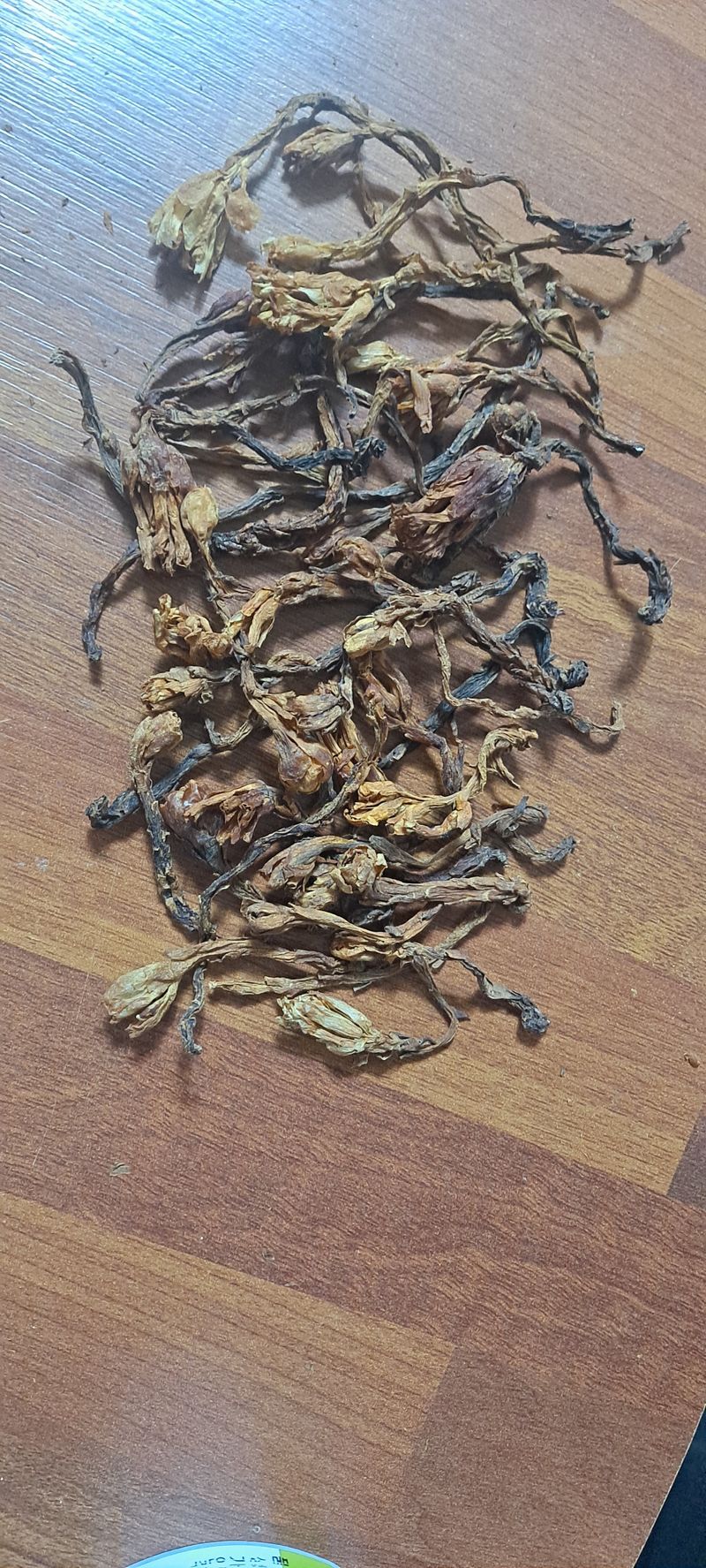 백순분님의 장터 판매 상품 [가지더부살이버섯] 첨부 사진