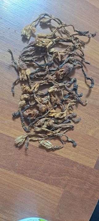 백순분님의 작성글 사진