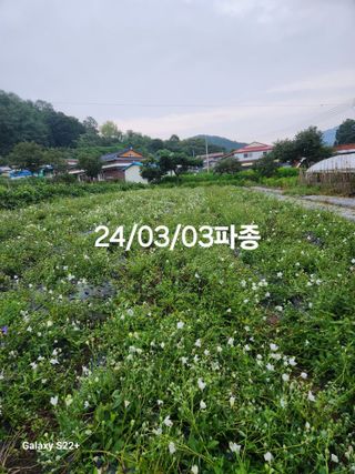 송명석님의 자유주제 · 자유게시판 작성글 사진