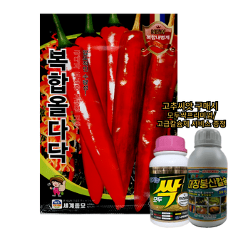 대산농사대장님의 작성글 사진