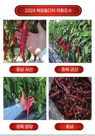 대산농사대장님의 작성글 사진