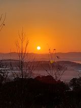 팜모닝 2025년 새해 일출 보셨나요?·참여글 게시글 이미지