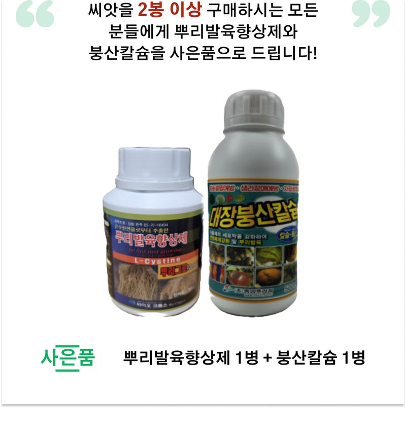 팜모닝 상점님의 장터 판매 상품 [[한농씨앗] 신선한칼탄 복합계 고추씨앗 1200립] 첨부 사진