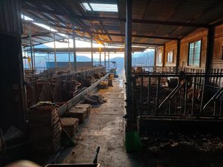 알 수 없음님의 자유주제 · 자유게시판 작성글 사진