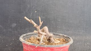 이정운님의 자유주제 · 자유게시판 작성글 사진