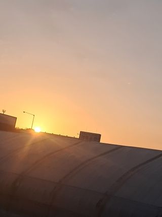 전희분님의 2025년 새해 일출 보셨나요? · 참여글 작성글 사진