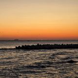 팜모닝 2025년 새해 일출 보셨나요?·참여글 게시글 이미지