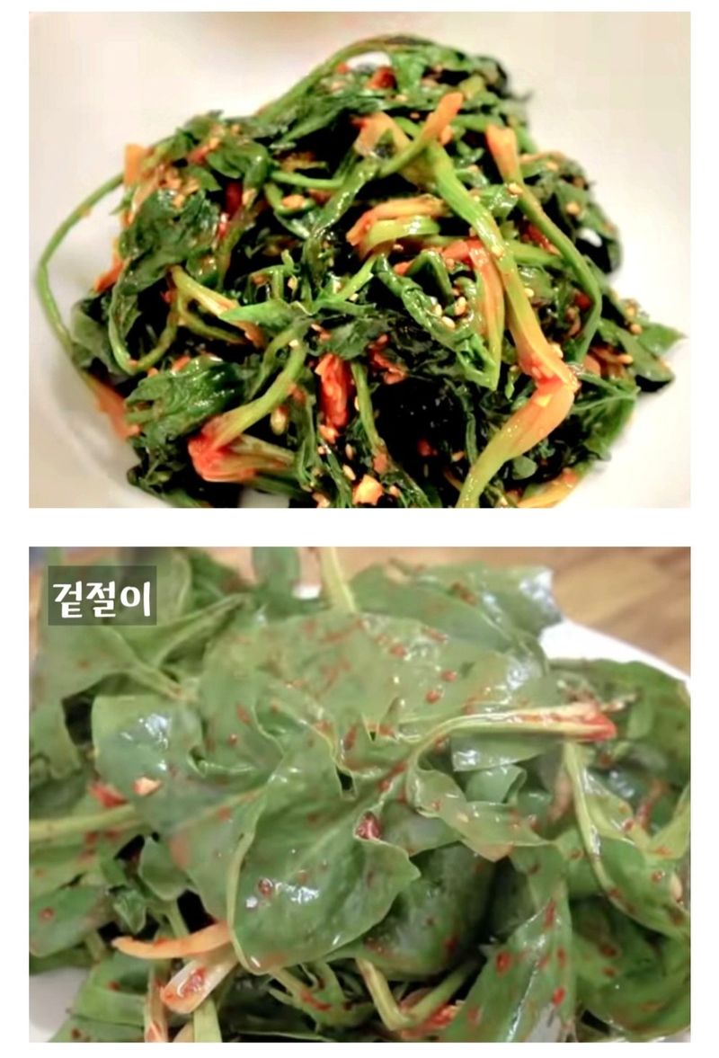 농수사님의 장터 판매 상품 [제철 해풍 시금치 포항초 400g 1단] 첨부 사진