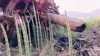 이정운님의 작성글 사진