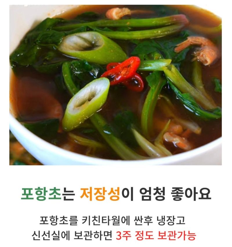 농수사님의 장터 판매 상품 [제철 해풍 시금치 포항초 400g 1단] 첨부 사진
