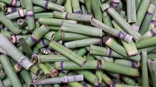 이정운님의 작성글 사진