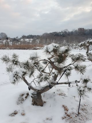 알 수 없음님의 자유주제 · 사진전 작성글 사진