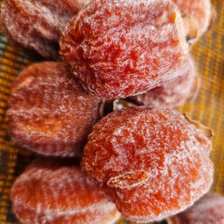 백용기님의 자유주제 · 자유게시판 작성글 사진