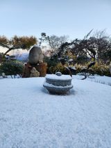 팜모닝 · 게시글 이미지