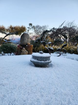 참깨15379님의 작성글 사진