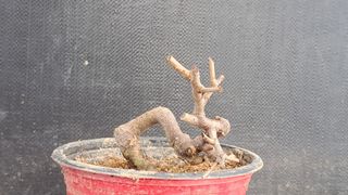 이정운님의 자유주제 · 자유게시판 작성글 사진