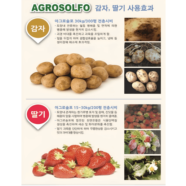 대산농사대장님의 장터 판매 상품 [아그로솔포15kg 순도 99.5%유황비료 스페인산  ] 첨부 사진