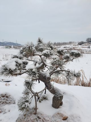 알 수 없음님의 자유주제 · 사진전 작성글 사진