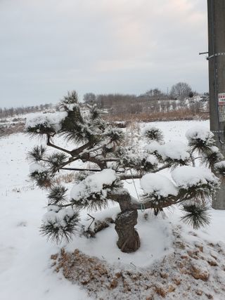 알 수 없음님의 자유주제 · 사진전 작성글 사진