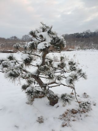알 수 없음님의 자유주제 · 사진전 작성글 사진