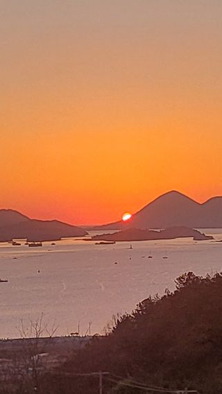 은태농님의 2025년 새해 일출 보셨나요? · 참여글 작성글 사진