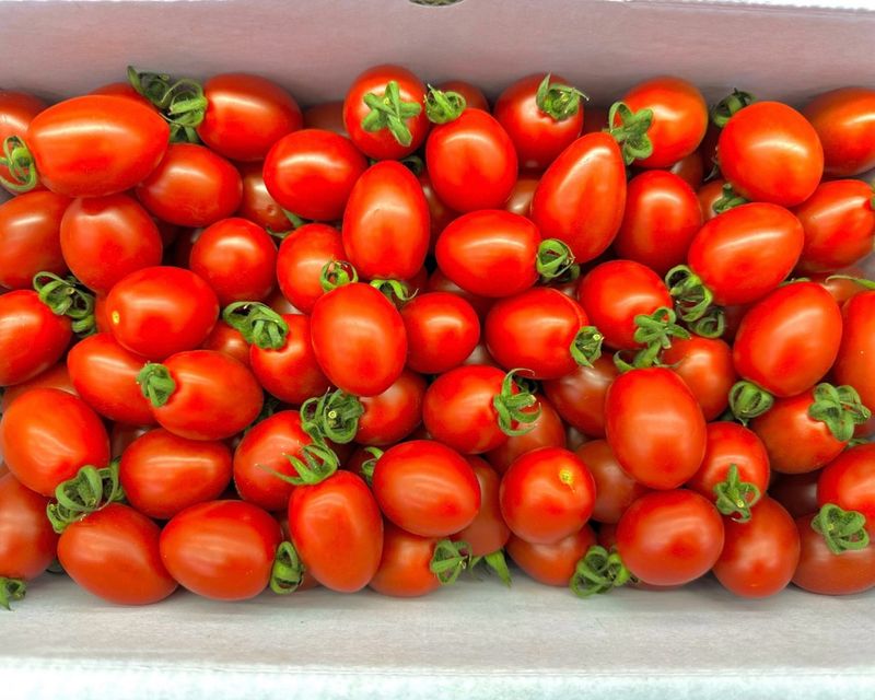 농부손녀님의 장터 판매 상품 [럭키 방울토마토 2kg (무료배송)] 첨부 사진