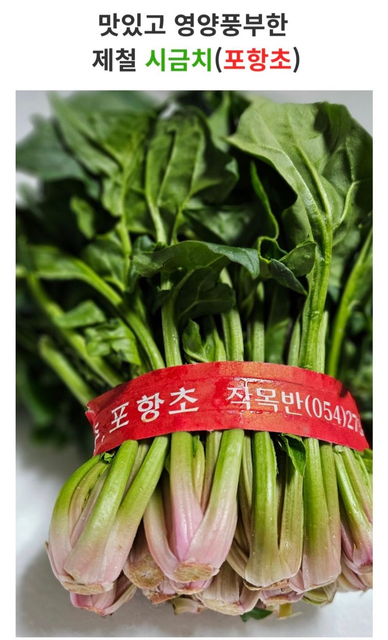 농수사님의 장터 판매 상품 [제철 해풍 시금치 포항초 400g 1단] 첨부 사진