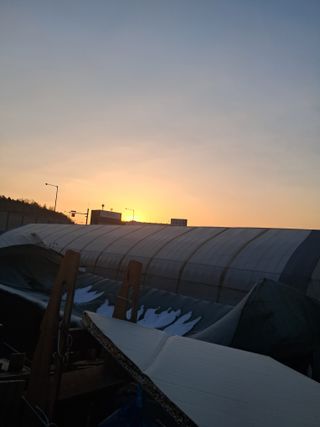 전희분님의 2025년 새해 일출 보셨나요? · 참여글 작성글 사진