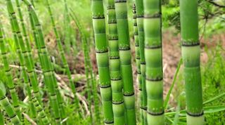 이정운님의 작성글 사진