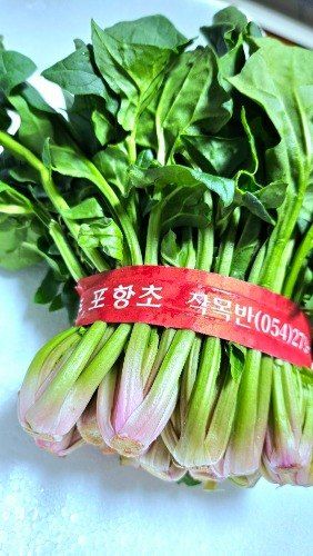 장터 상품 [제철 해풍 시금치 포항초 400g 1단] 썸네일