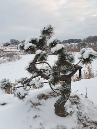 알 수 없음님의 자유주제 · 사진전 작성글 사진