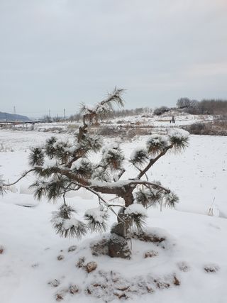 알 수 없음님의 자유주제 · 사진전 작성글 사진