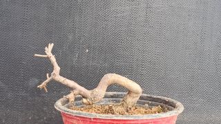 이정운님의 자유주제 · 자유게시판 작성글 사진