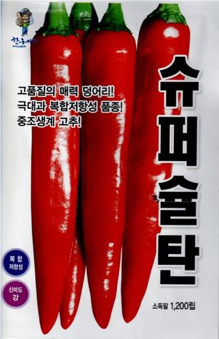 대산농사대장님의 고추 · 품종•종자 작성글 사진